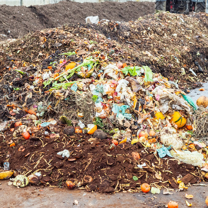 food sitting in a landfill